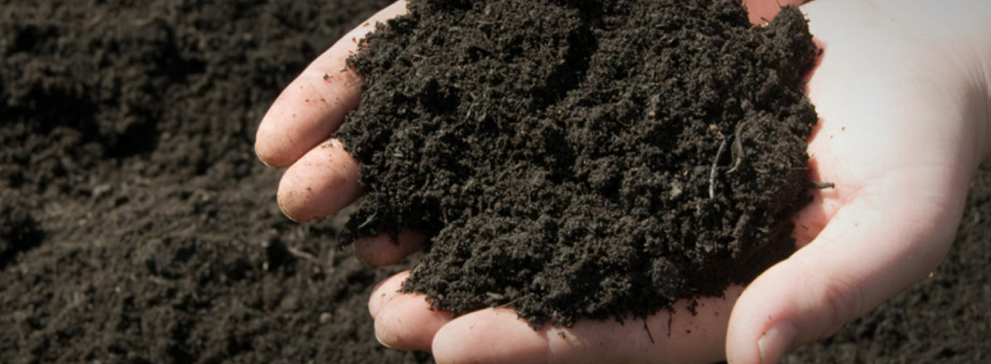 topsoil supplier